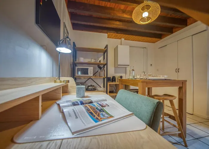 Apartment Le Petit Jaures - Gare / Tram Grenoble